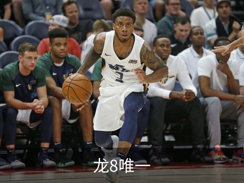 龙8唯一简介